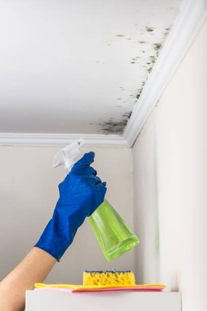 Best Mold Testing  in Fort Lee, NJ